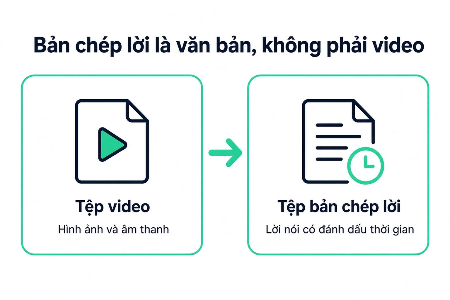 Bản chép lời đã tải xuống là tệp văn bản chứa lời nói kèm dấu thời gian, không phải tệp video
