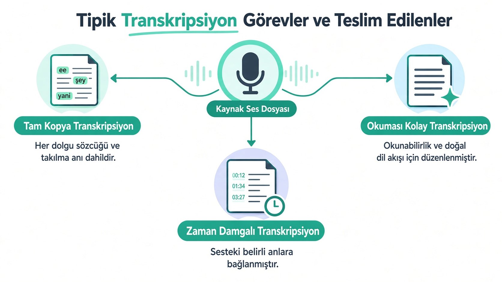 Ses dosyalarından Verbatim, Clean-Read ve Zaman Damgalı transkriptler olmak üzere üç tür transkripsiyon hizmetini gösteren bir diyagram.