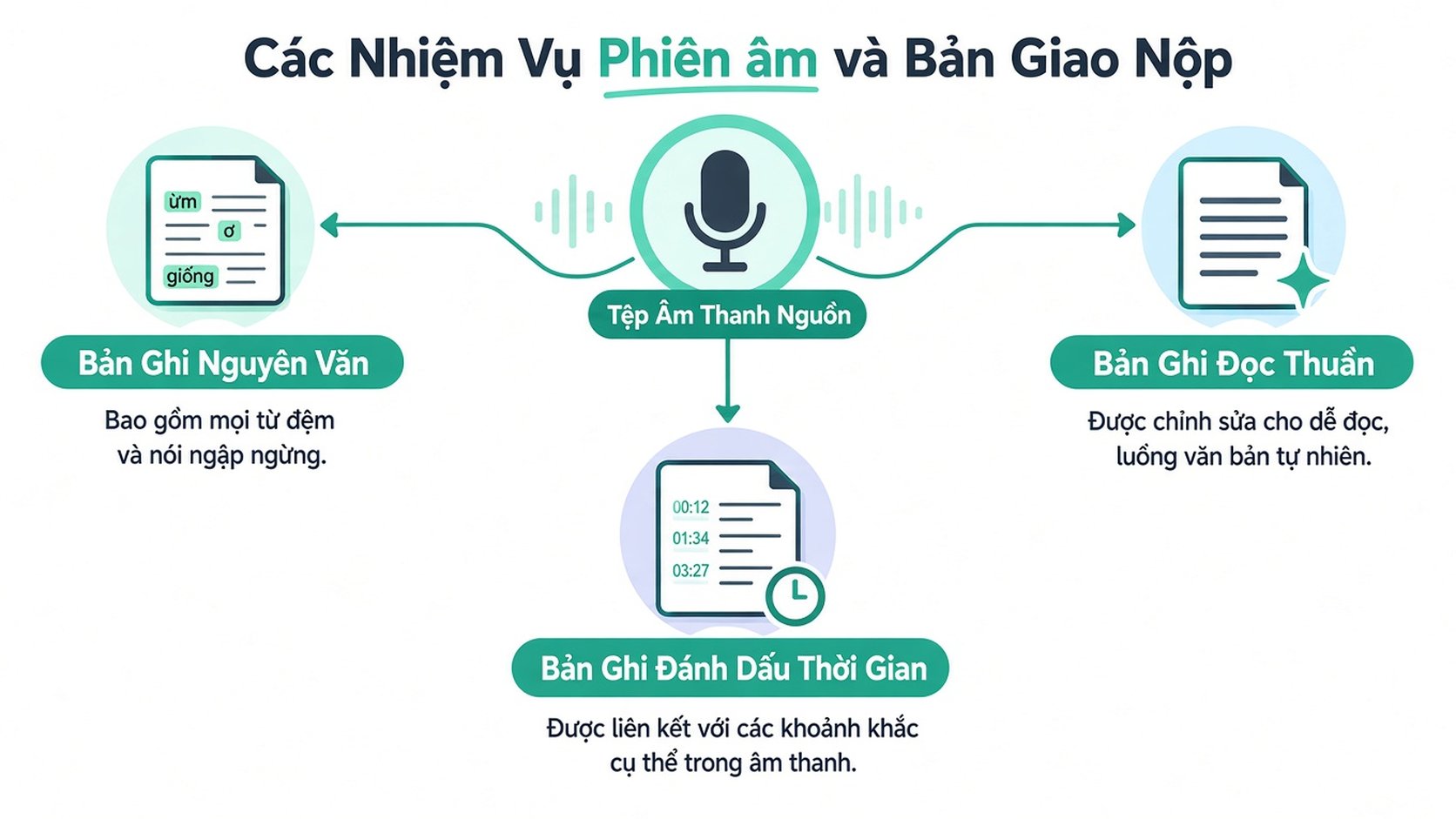 Sơ đồ minh họa ba loại dịch vụ ghi âm: bản ghi nguyên văn, bản ghi đọc sạch và bản ghi có mốc thời gian từ tệp âm thanh.