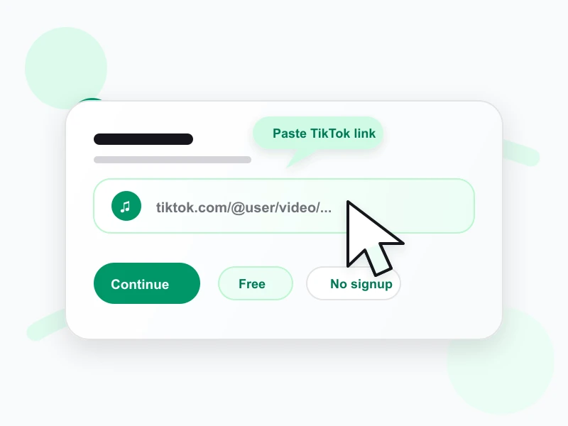 Pasting a TikTok link into the downloader
